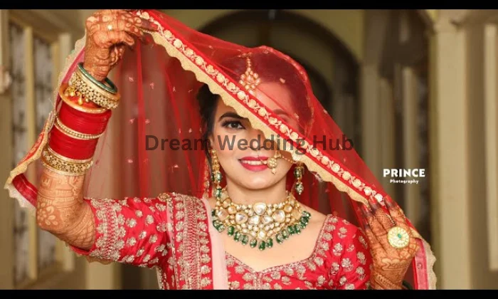 Priyanshu hd videography